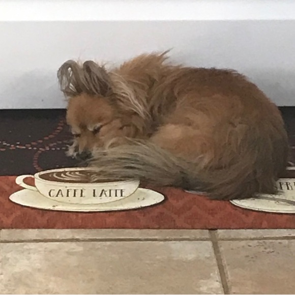 Meet your Posher, Adrianne - Picture 5 of 6